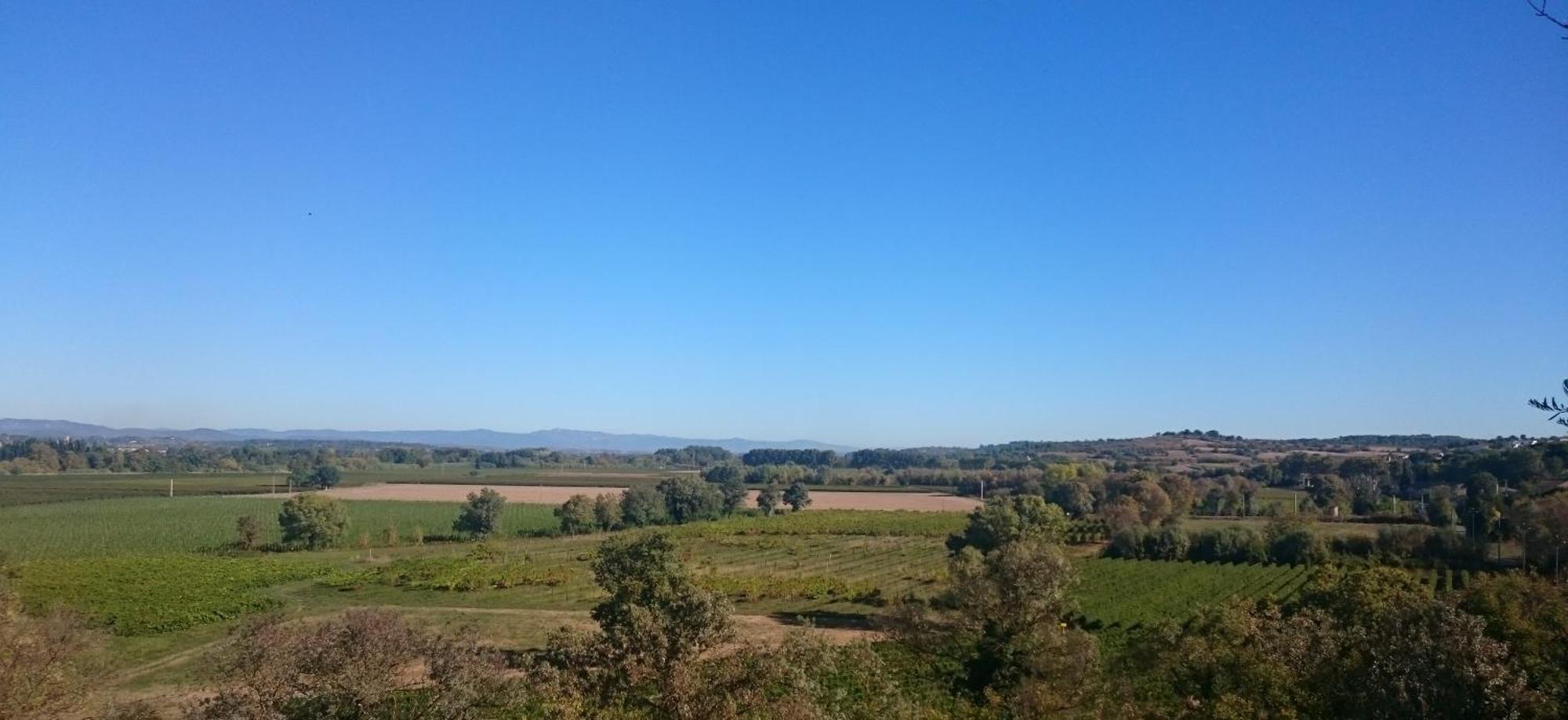 Castelnau-de-Guers Camping Les Amandiers מראה חיצוני תמונה
